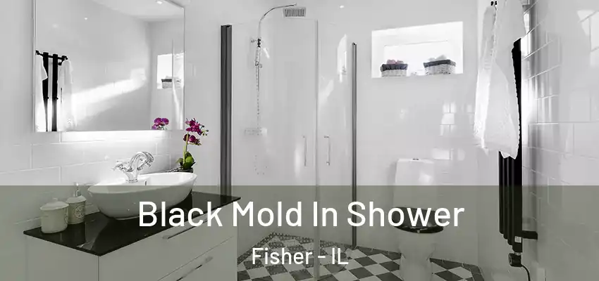  Black Mold In Shower Fisher - IL
