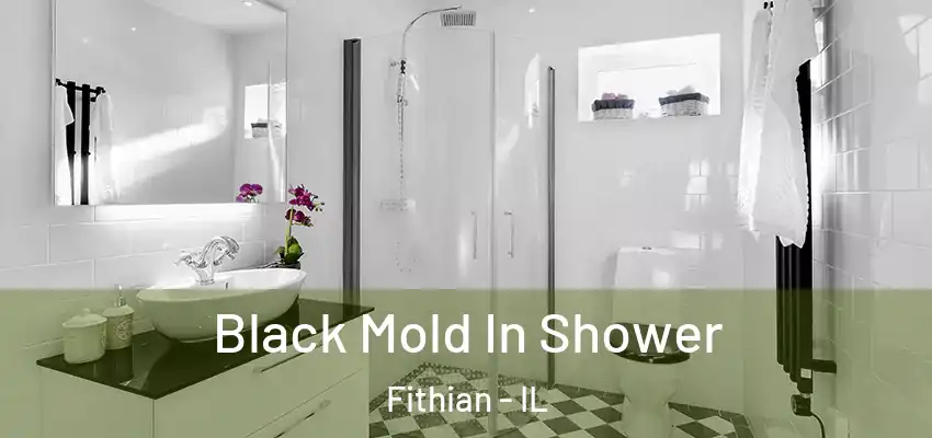  Black Mold In Shower Fithian - IL