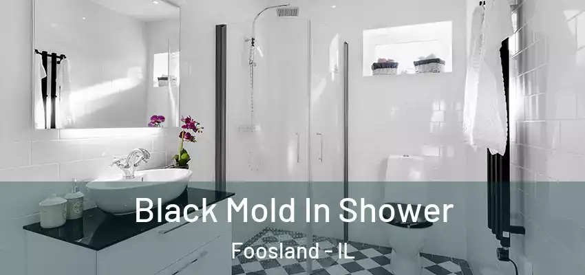  Black Mold In Shower Foosland - IL