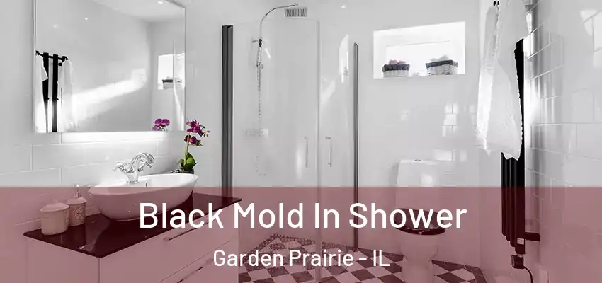 Black Mold In Shower Garden Prairie - IL