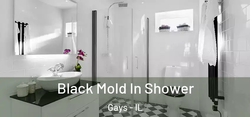  Black Mold In Shower Gays - IL