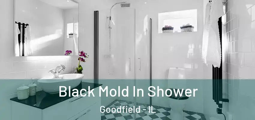  Black Mold In Shower Goodfield - IL