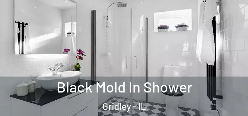  Black Mold In Shower Gridley - IL