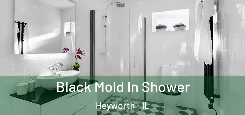  Black Mold In Shower Heyworth - IL
