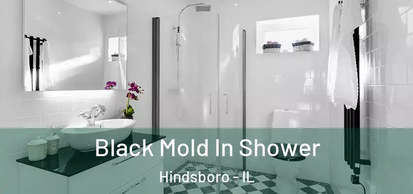  Black Mold In Shower Hindsboro - IL
