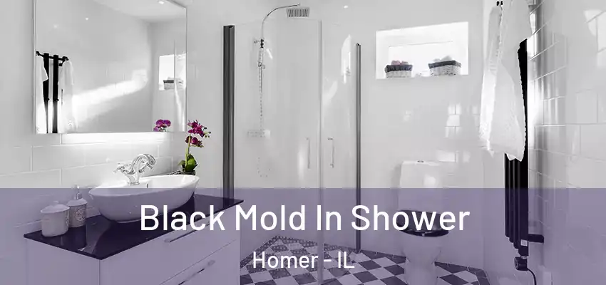  Black Mold In Shower Homer - IL