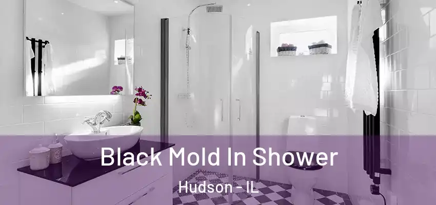  Black Mold In Shower Hudson - IL