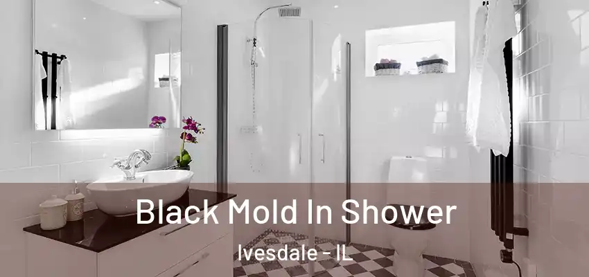  Black Mold In Shower Ivesdale - IL