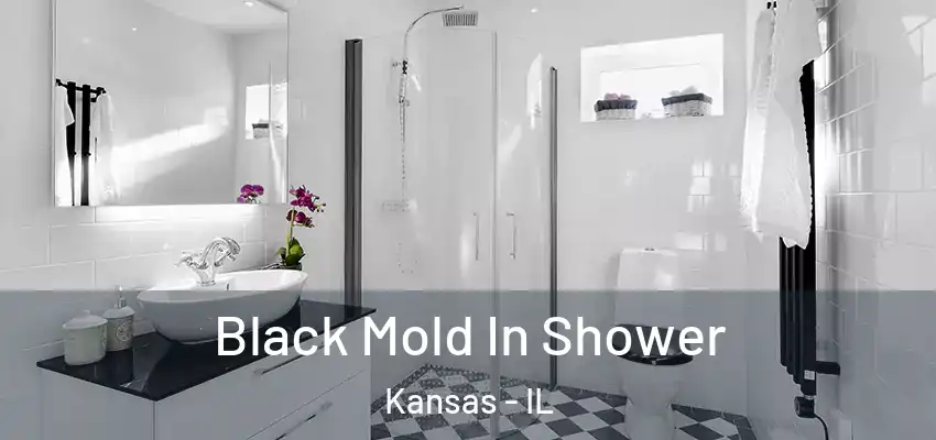  Black Mold In Shower Kansas - IL