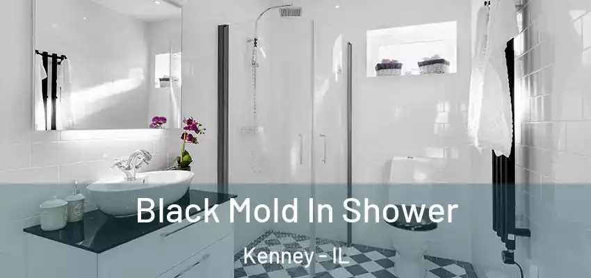  Black Mold In Shower Kenney - IL