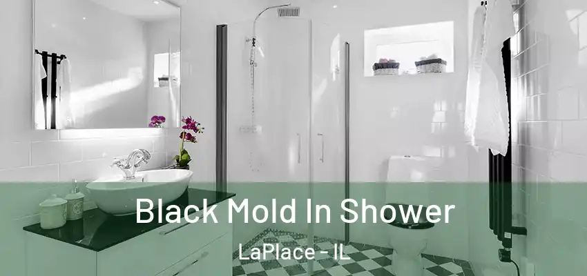  Black Mold In Shower LaPlace - IL