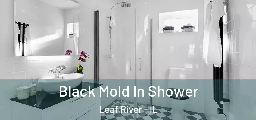  Black Mold In Shower Leaf River - IL