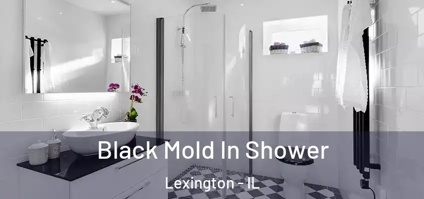  Black Mold In Shower Lexington - IL