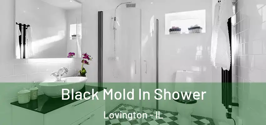  Black Mold In Shower Lovington - IL