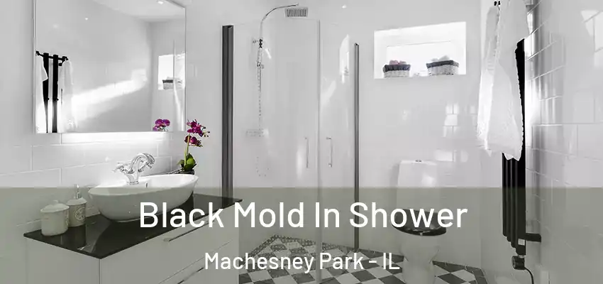  Black Mold In Shower Machesney Park - IL