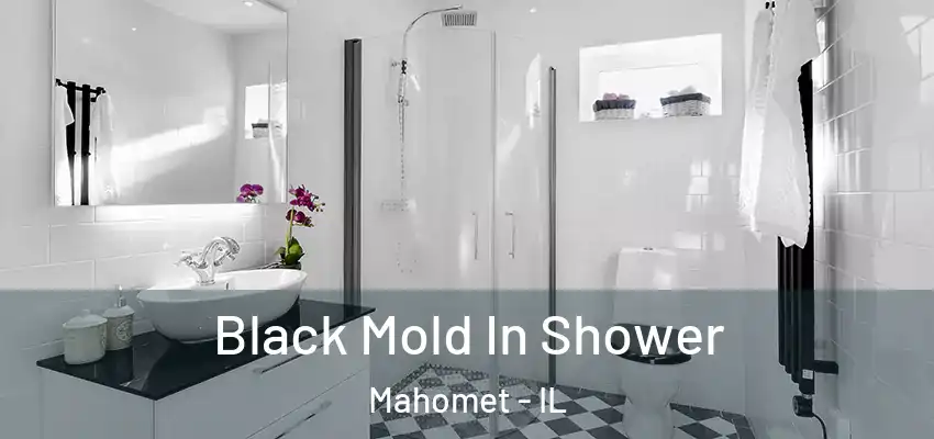  Black Mold In Shower Mahomet - IL