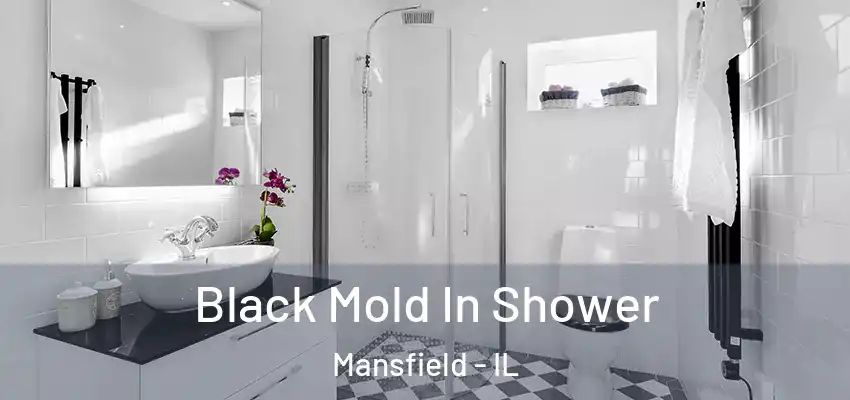  Black Mold In Shower Mansfield - IL