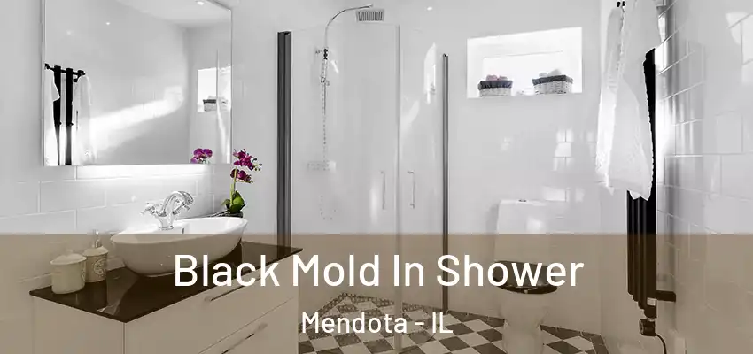  Black Mold In Shower Mendota - IL