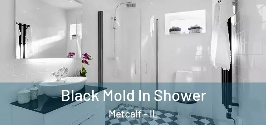  Black Mold In Shower Metcalf - IL