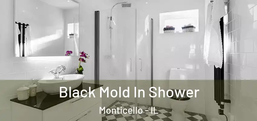  Black Mold In Shower Monticello - IL