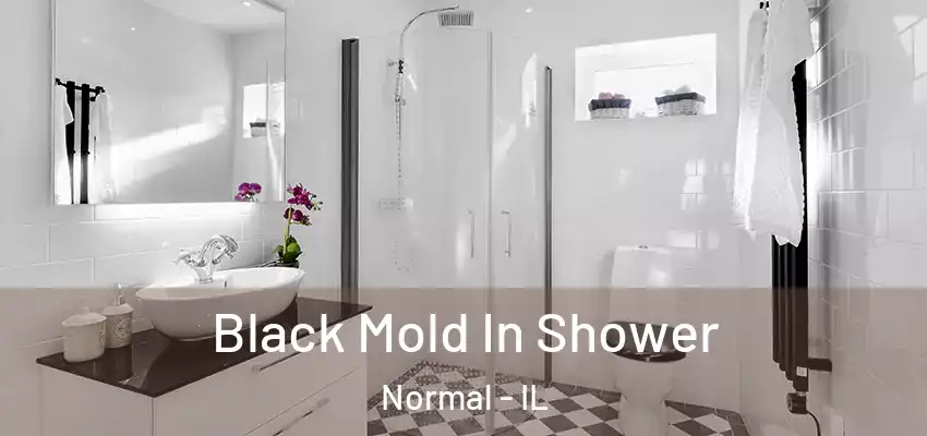  Black Mold In Shower Normal - IL