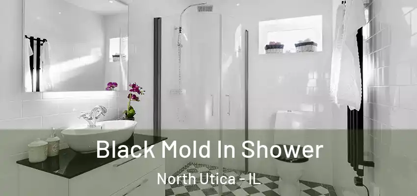  Black Mold In Shower North Utica - IL