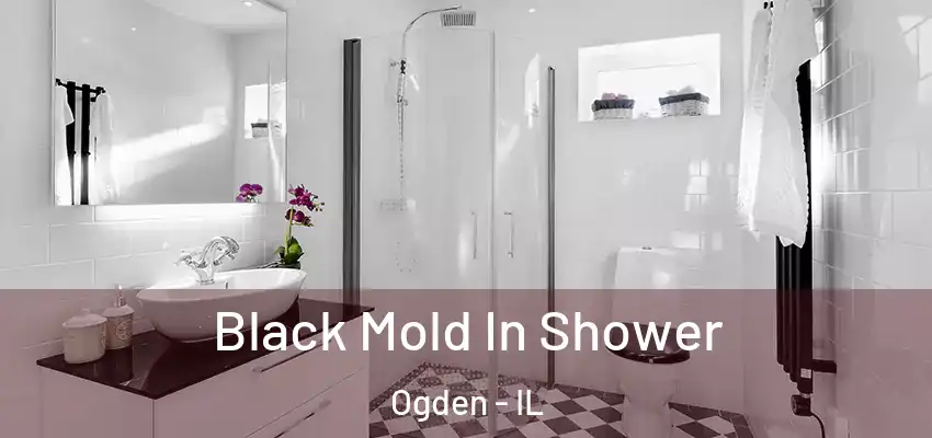  Black Mold In Shower Ogden - IL