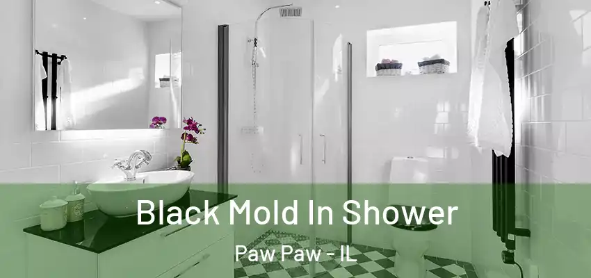 Black Mold In Shower Paw Paw - IL