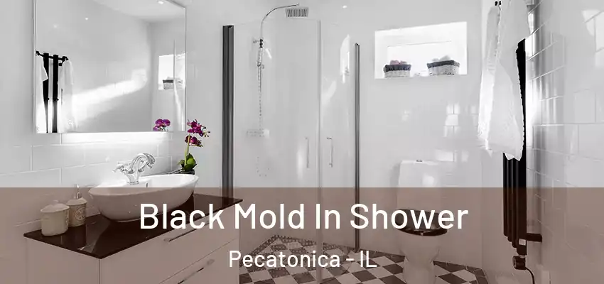  Black Mold In Shower Pecatonica - IL