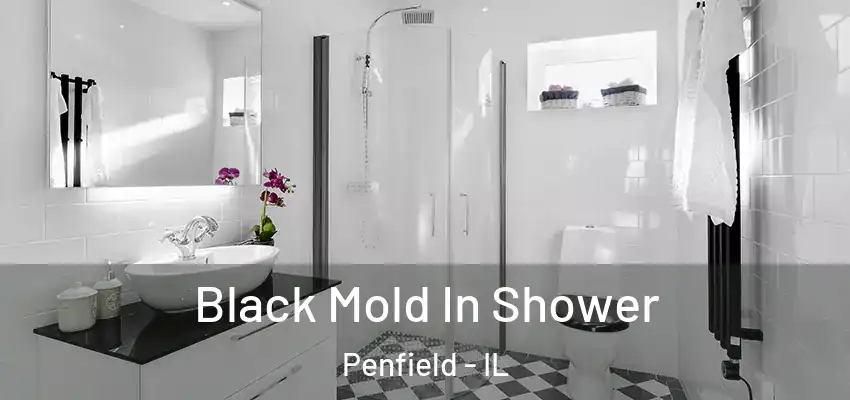  Black Mold In Shower Penfield - IL