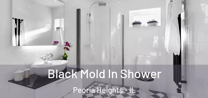  Black Mold In Shower Peoria Heights - IL