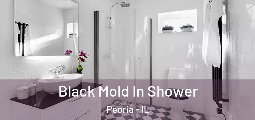  Black Mold In Shower Peoria - IL