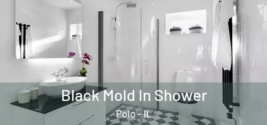  Black Mold In Shower Polo - IL