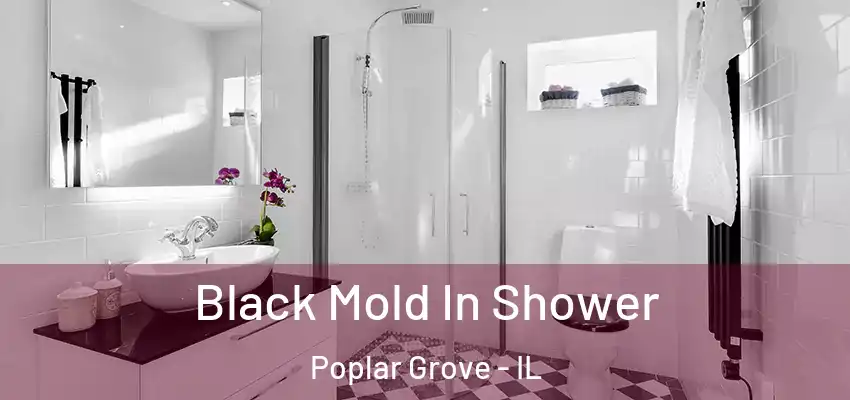  Black Mold In Shower Poplar Grove - IL