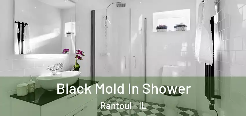  Black Mold In Shower Rantoul - IL