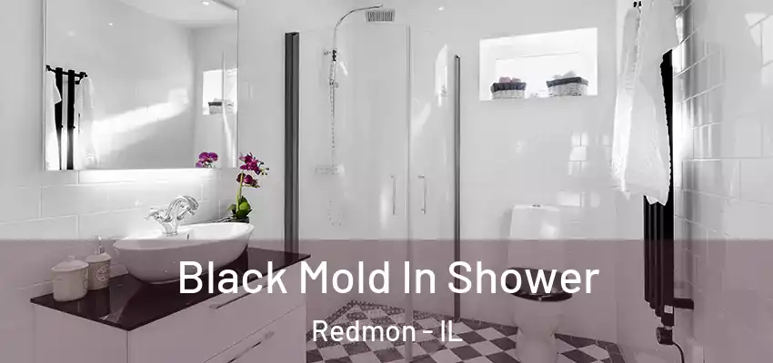  Black Mold In Shower Redmon - IL