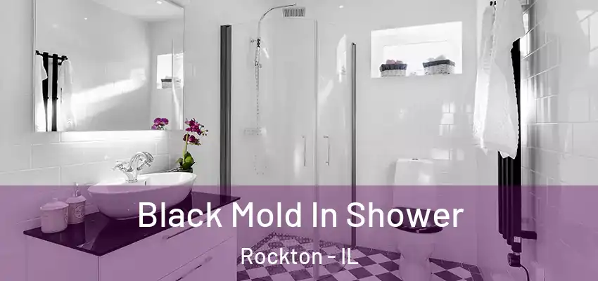  Black Mold In Shower Rockton - IL