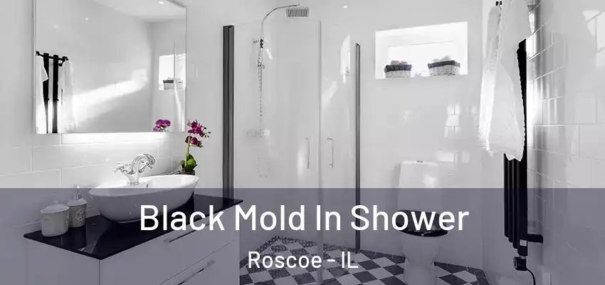  Black Mold In Shower Roscoe - IL