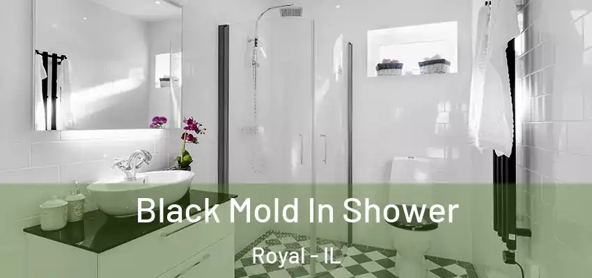  Black Mold In Shower Royal - IL