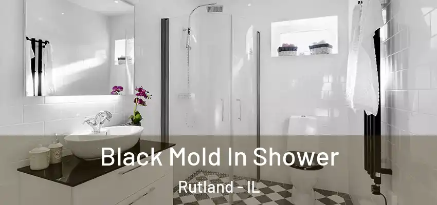  Black Mold In Shower Rutland - IL
