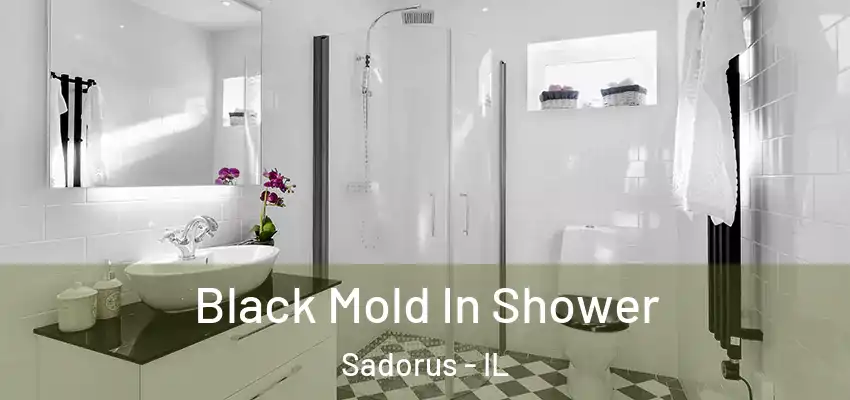  Black Mold In Shower Sadorus - IL