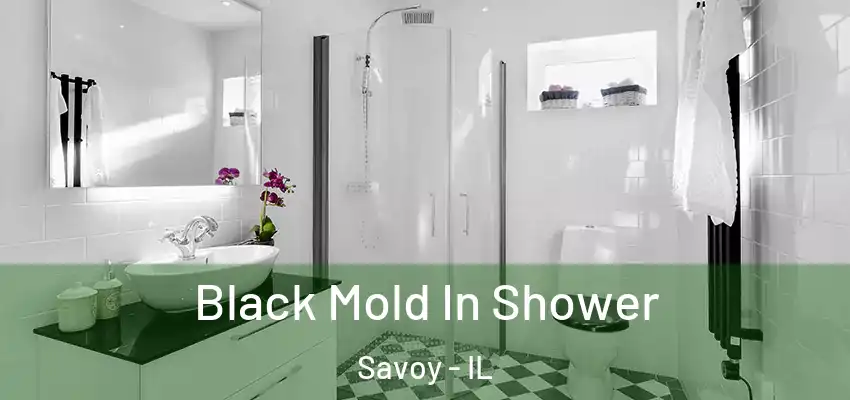  Black Mold In Shower Savoy - IL
