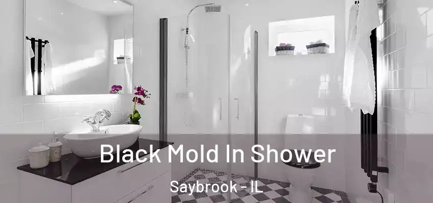  Black Mold In Shower Saybrook - IL