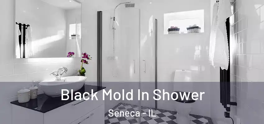  Black Mold In Shower Seneca - IL