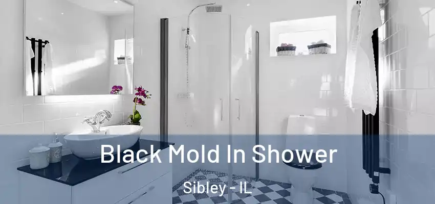  Black Mold In Shower Sibley - IL