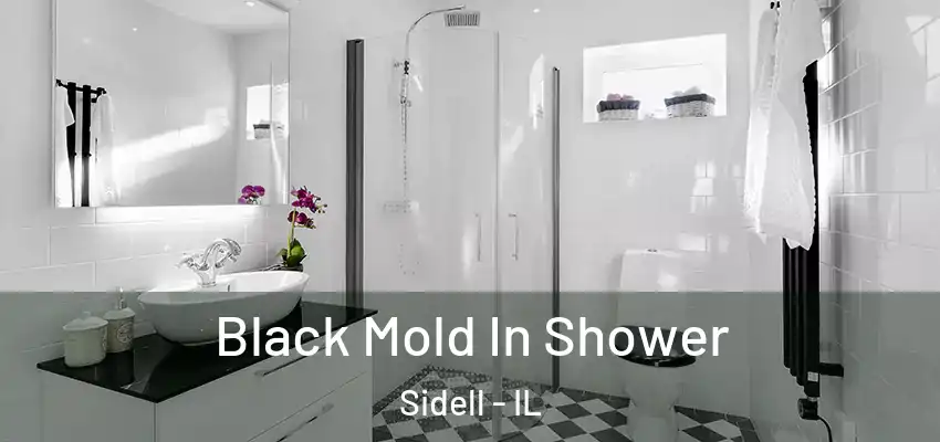 Black Mold In Shower Sidell - IL