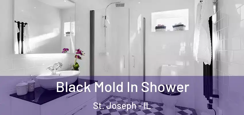  Black Mold In Shower St. Joseph - IL