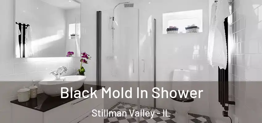  Black Mold In Shower Stillman Valley - IL