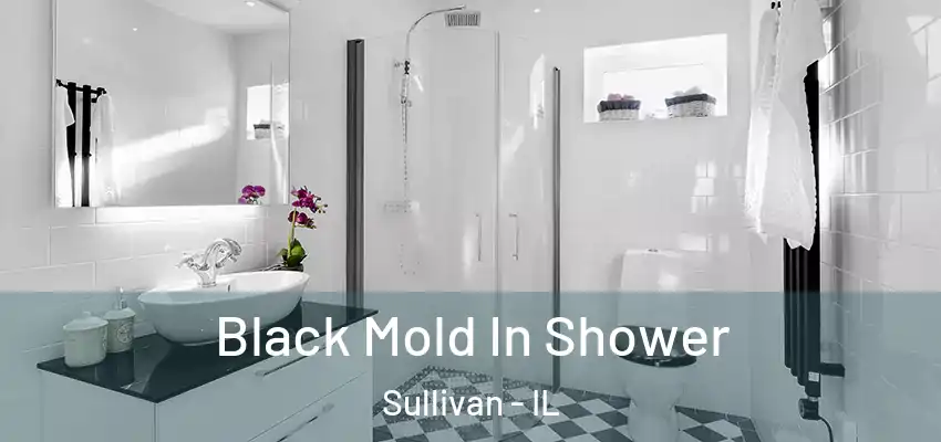  Black Mold In Shower Sullivan - IL