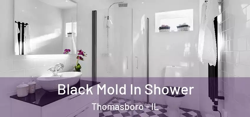  Black Mold In Shower Thomasboro - IL